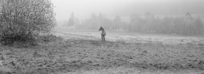 Hodkovice II, 2007 Hodkovice II, 2007