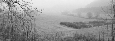 In the Train, somewhere between Jaroměř and Trutnov III, 2007 In the Train, somewhere between Jaroměř and Trutnov III, 2007