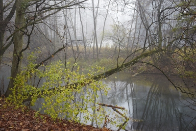 November 2009
