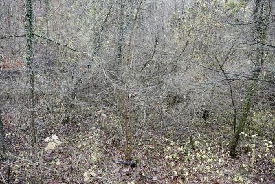 November 2009