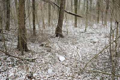 December 2009