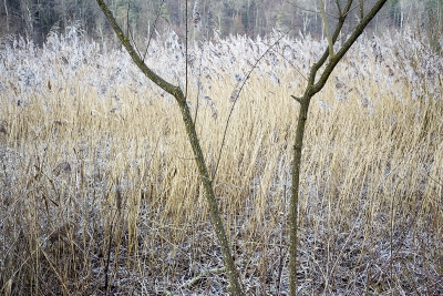 December 2009