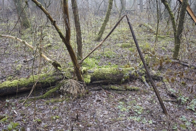 December 2009