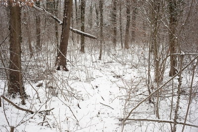 January 2010