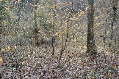 January 2010