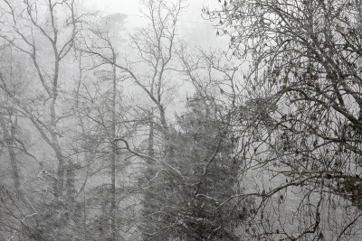 March 2010
