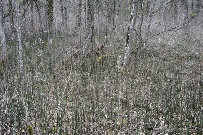 March 2010