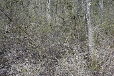 April 2010