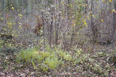 November 2010