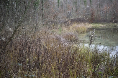 December 2011