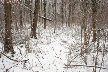 January 2010